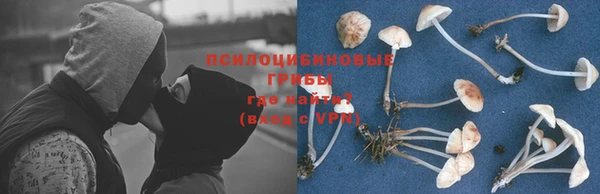 a pvp Осинники