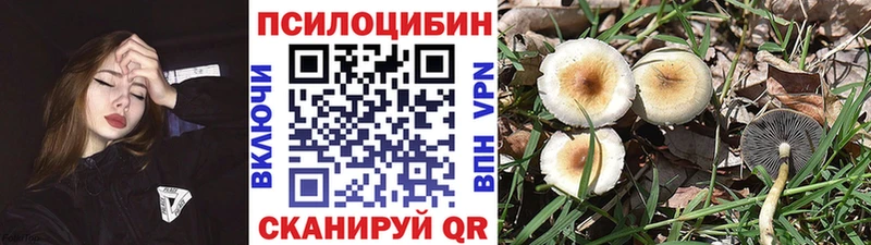 Псилоцибиновые грибы ЛСД  Нефтеюганск 